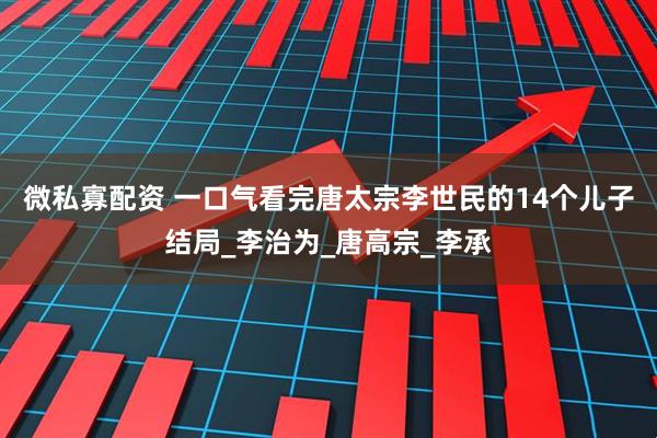 微私寡配资 一口气看完唐太宗李世民的14个儿子结局_李治为_唐高宗_李承