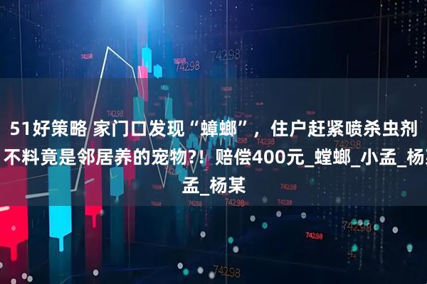 51好策略 家门口发现“蟑螂”，住户赶紧喷杀虫剂，不料竟是邻居养的宠物?！赔偿400元_螳螂_小孟_杨某