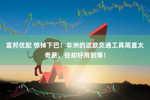 富邦优配 惊掉下巴！非洲的这款交通工具简直太奇葩，但却好用到爆！