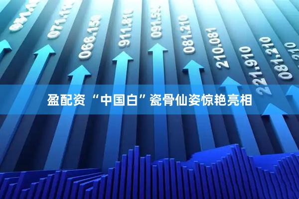 盈配资 “中国白”瓷骨仙姿惊艳亮相
