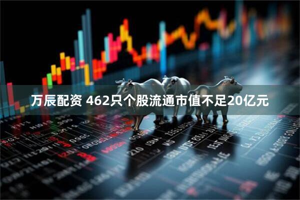 万辰配资 462只个股流通市值不足20亿元