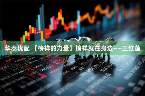 华泰优配 【榜样的力量】榜样就在身边——三红莲